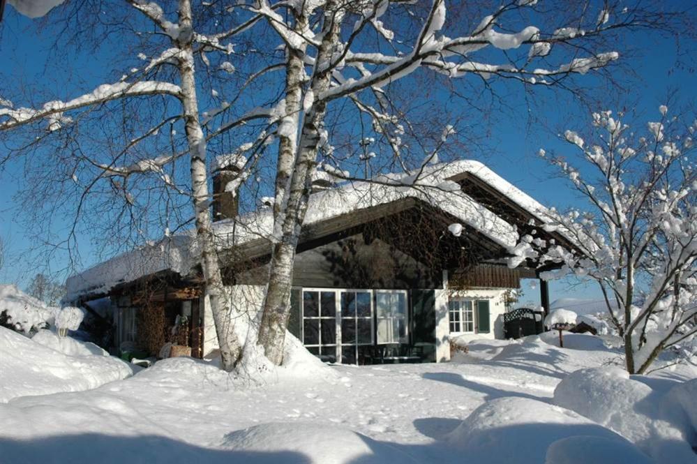 Ferienhaus Nest بلايتشاخ المظهر الخارجي الصورة
